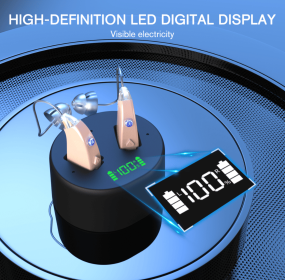 PST201G Dual-ear Microphone Digital Hearing Aid Professional Audio Hearing Aid Noise Reduction Hearing Aid High-Quality Hearing Aid Factory Direct Sal