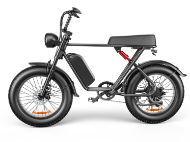 C91 - 20 Inch 20A Electric Bike ---- Purchase Style, Please Check The Details (Option: A)