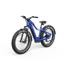 Ranger EB50 EBike (Option: EB50 Blue)